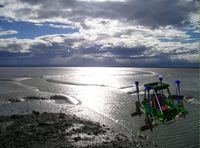 manchmal ist das Watt die Straße. Wattenmeer Erkunden! Es ist eine Landschaft